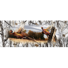 Ringneck Pheasant Tailgate 013